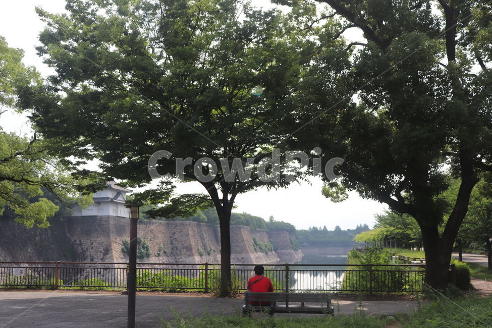 일본,오사카,오사카성,신사,신사입구,나무,물,연못,벤치,bench,해외,외국,세계,foreign,oversea,world,사람,인물,인간,human,person