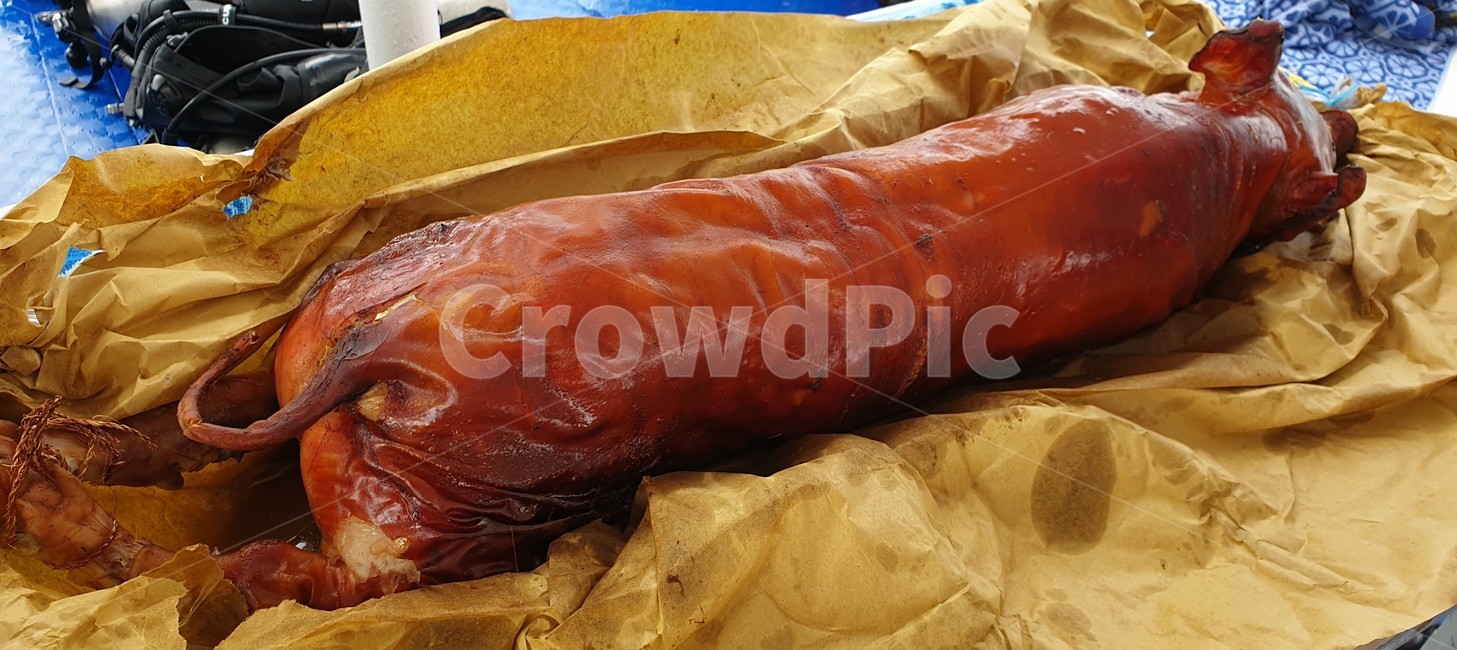돼지통구이,레촌,세부,음식,돼지,바배큐,필리핀,육류,고기,meat