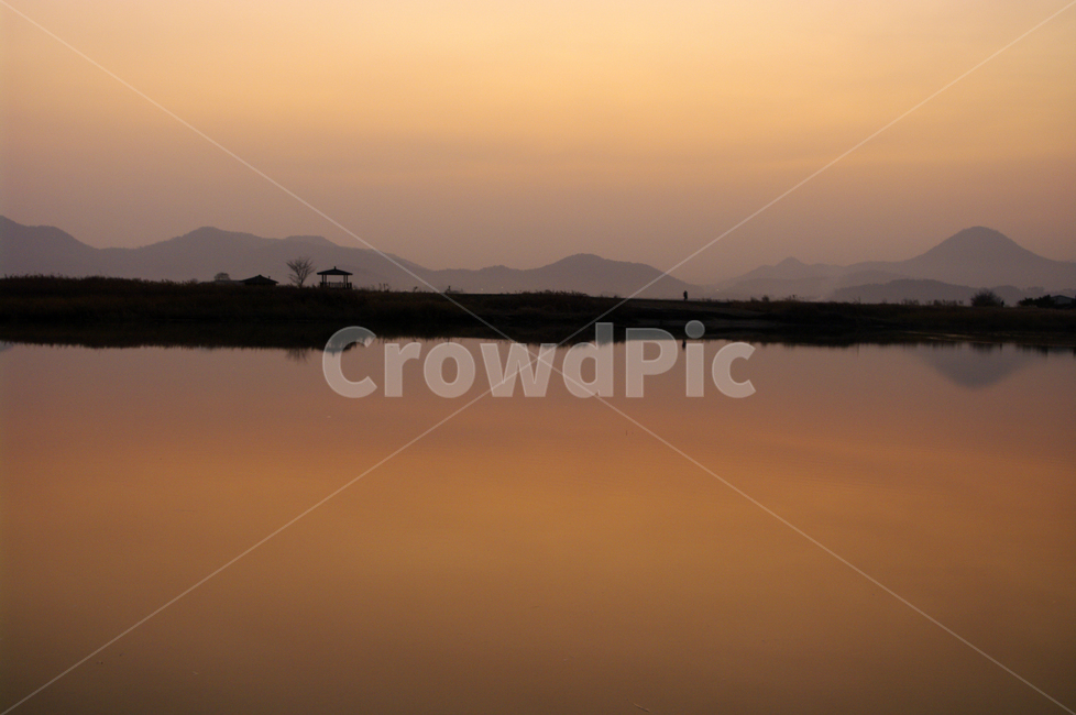 순천만,일몰,노을,풍경,갈대밭,강,하늘,그림자,자연,풍경,nature,landscape,outdoors,옥외,water,물