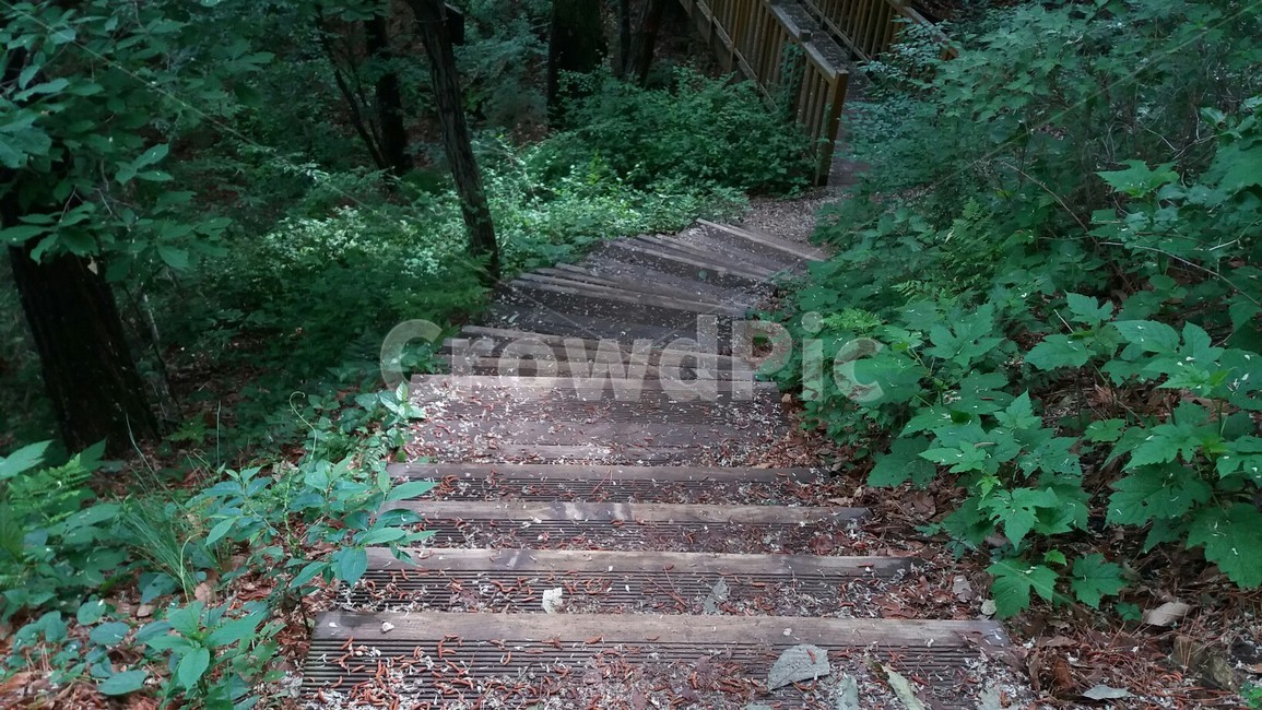 산책길,휴식,안정,햇살,여유,평화