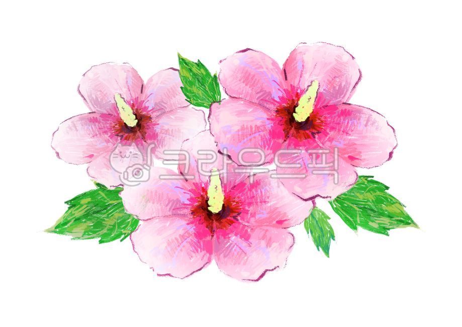 무궁화,무궁화꽃,한국,대한민국,무궁화그림,무궁화일러스트,식물,꽃그림,flower,꽃,꽃잎,삼일절,개천절,제헌절,한글날,드로잉,봄