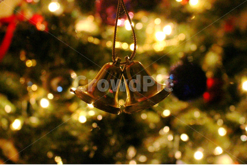 크리스마스,크리스마스트리,크리스마스장식,성탄절,감성사진,christmas,메리크리스마스,체크,빨강,빨간색,초록,초록색,tree,red,green,빛,bell,종,겨울,계절,winter,season,기념일,축하,anniversary,congratulation,celebrate,celebration,메리크리스마스,성탄절,merry christmas