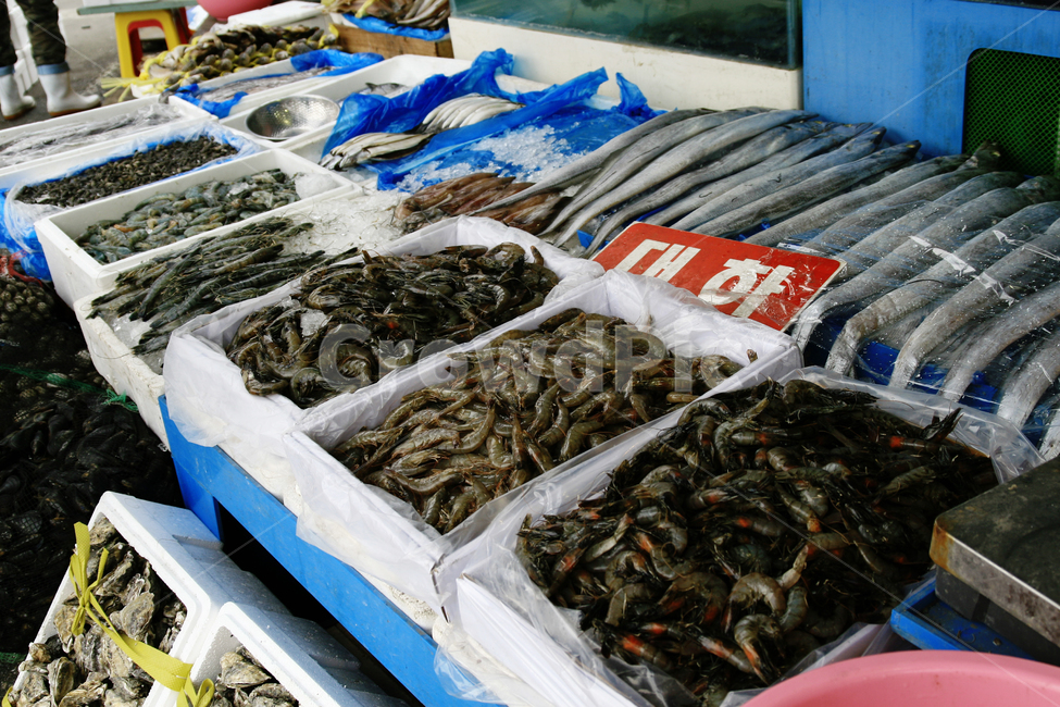 해산물,수산물,수산시장,판매,진열,시장,마트,마켓,market,mart,market place,음식,식재료,요리,food,cook,meal,dishes,food reserves,수산물,해산물,fishery products,seafood