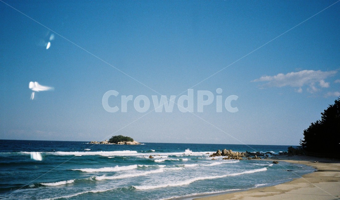 바다,감성,겨울,겨울바다,파도,아침바다,아침,자연,필름,아날로그,분위기,winter,sea,wintersea,mood,atmosphere,자연,풍경,nature,landscape,해변,바다,beach,sea,ocean,대양,water,물,outdoors,옥외,shoreline,해안선,land,땅,promontory,곶