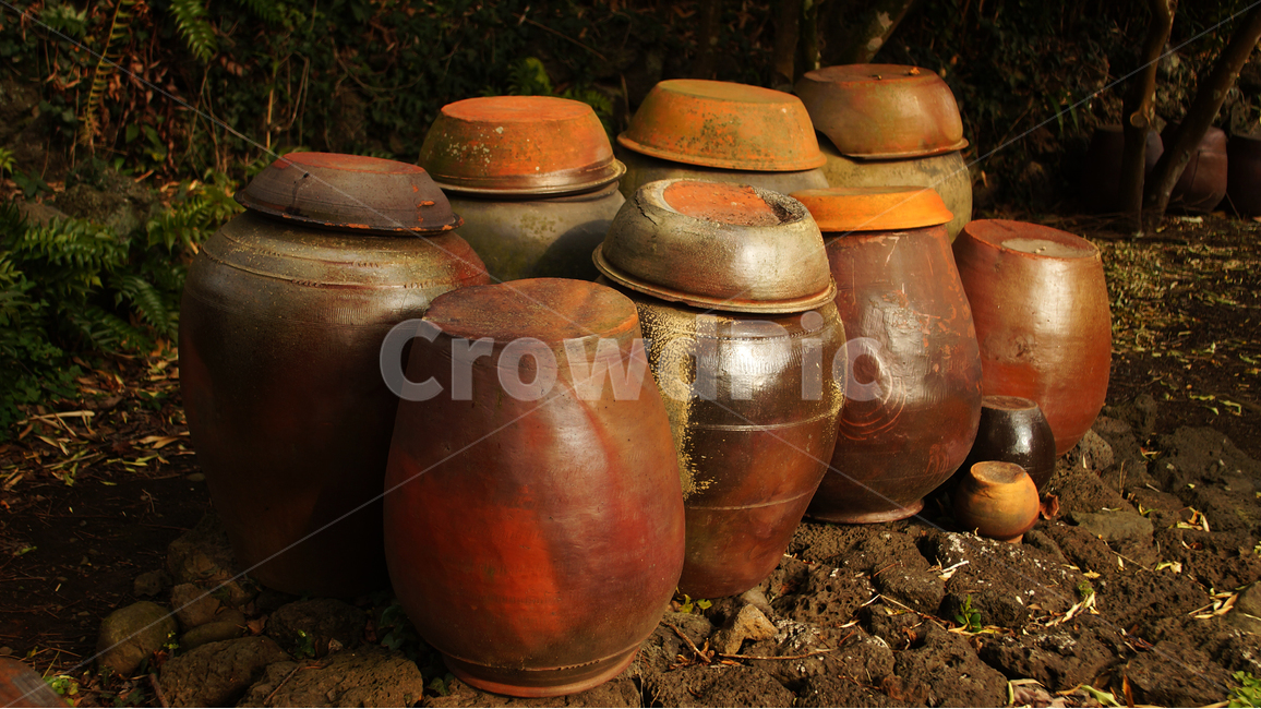 장독대,한국적,제주,여행,감성,감성사진,포착,향토,한국전통,한국문화,korean traditional,korean culture,사물,물건,오브젝트,thing,object,matter