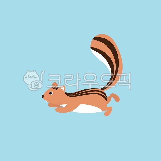 squirrel,animal,cute,autumn animal,squirrel illustration