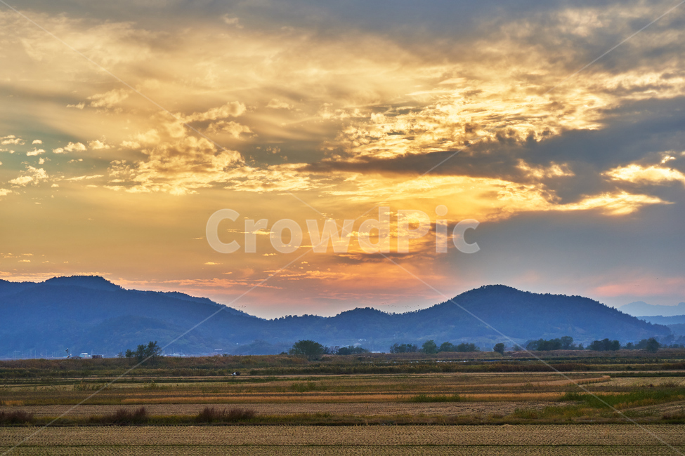 Suncheon,sky,mountain,Suncheon Bay Wetland,Reed,nature,Suncheon Bay,sunset,sight,autumn,reed field