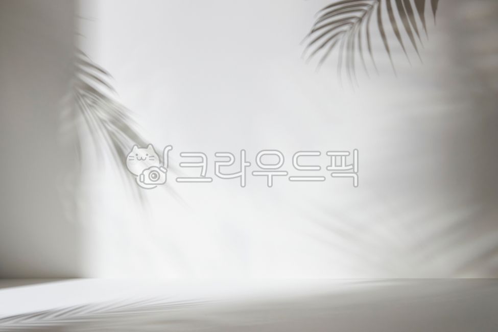 stilllife,shadow,simple,Modern,empty,beautiful,botanical,white,backdrop,natural light,light,background,plant,glow,frame,concept,pattern,bright,blur,sun,summer,interior,minimal,gray,modern,composition,design,art,wallpaper,nature,texture,nopeople,copyspace,