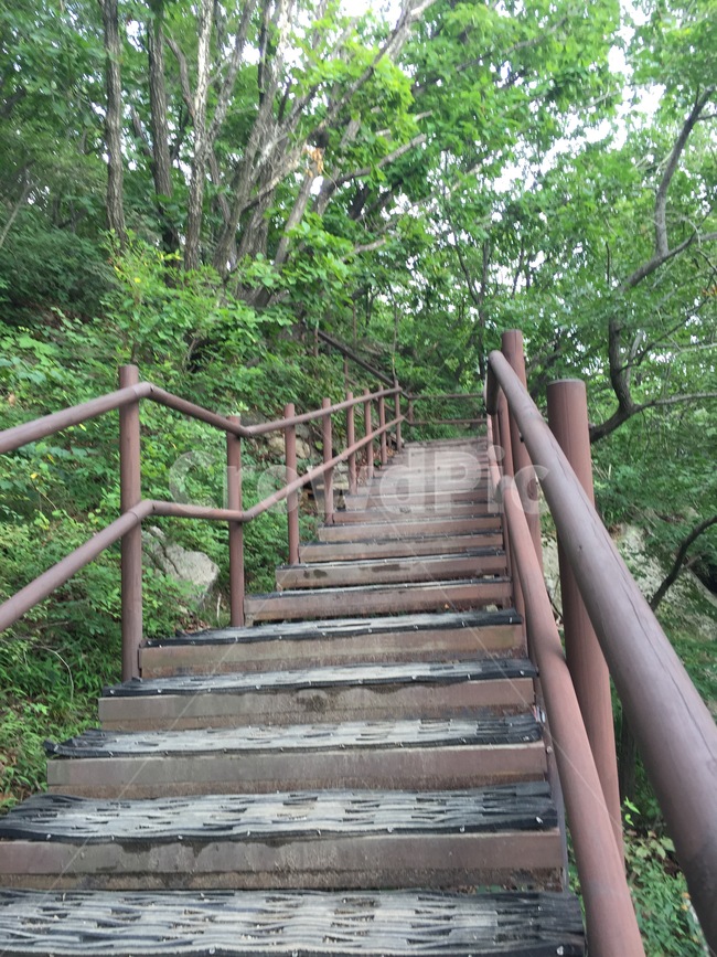 북한산,등산로,등산,자연,여름,길,자연,풍경,nature,landscape,banister,난간,handrail,railing,outdoors,옥외,garden,정원,arbour,정자,staircase,계단