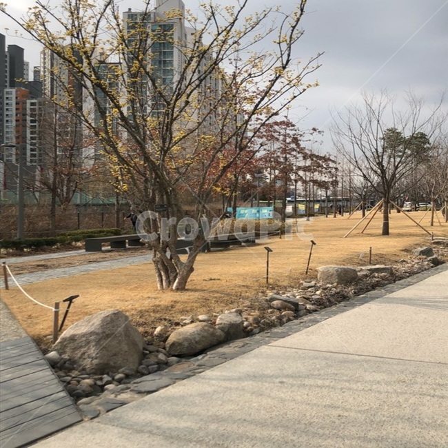 path,통로,flagstone,판석,공원,숲길,나무,자연,돌,아파트,하늘,구름,산책로