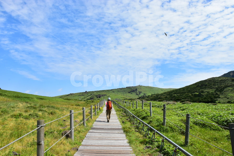 영실,한라산,제주,기암괴석,절경,자연,풍경,힐링,여름,계절,탐방,등산,season,nature,landscape,한국자연풍경,한국자연경관,korea,naturelandscape,제주도,jeju,jejuisland,자연,풍경,nature,landscape,한국자연풍경,한국자연경관,korea nature landscape,제주도,jeju,jeju island,사람,인물,인간,human,person,여행,휴가,traveling,vacation,trip,boardwalk,산책로,bridge,다리,building,건물