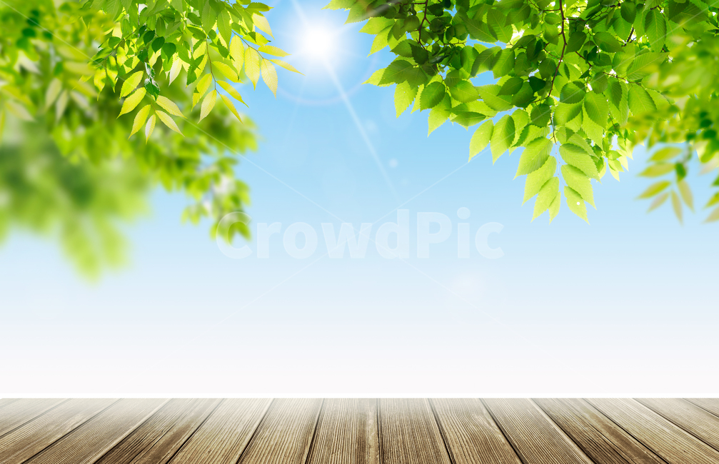 나무배경,봄,나뭇잎,나뭇가지,살랑살랑,따뜻한,햇살,눈부신,카피공간,새로운,상쾌한,희망찬,꾸미기,새롭다,식물,계절,여름,트리,배경,4계절,하루,뒷배경,풍경,화창한,아름다운