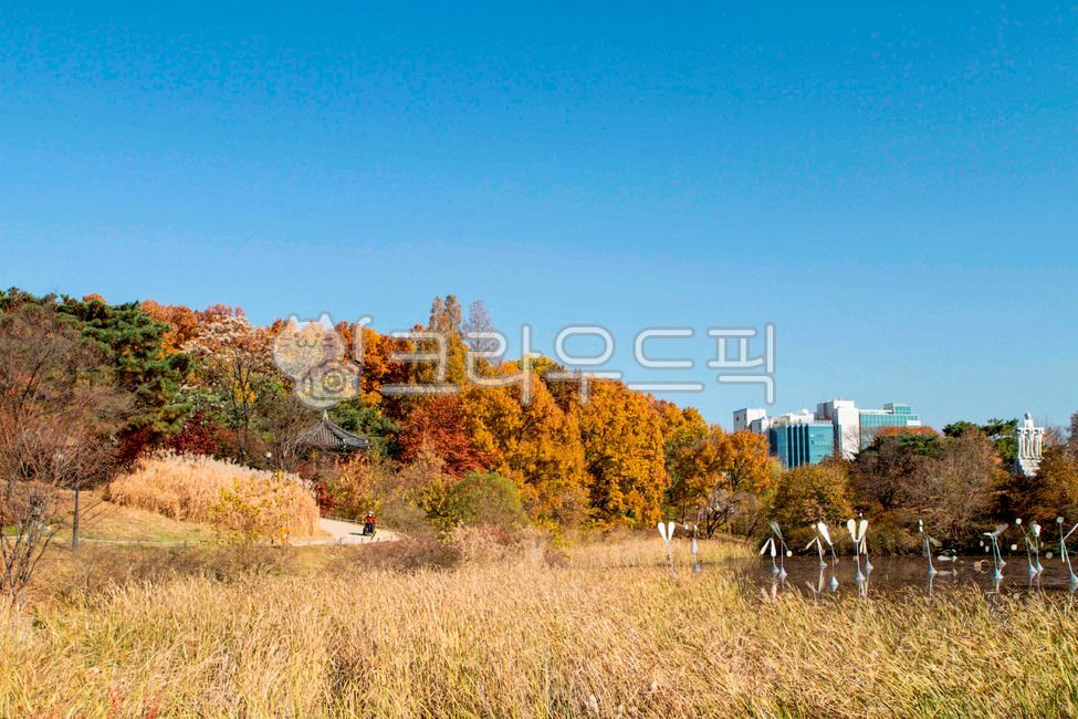 Olympic Park,theme park,Move room,city,nature,tree,grassland,seoul,trail,outdoors,field,walk,Songpagu,park