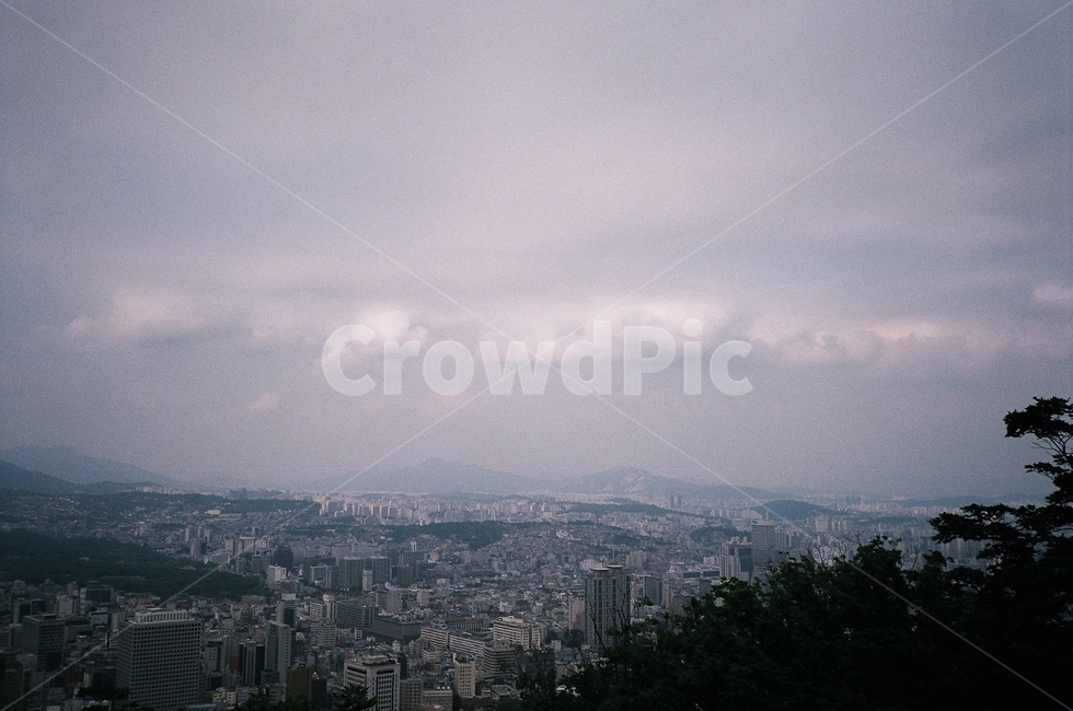 나무,자연,도시,nature,식물,tree,plant,city,필름,필름사진,film,산,mountain,landscape,경치,풍경