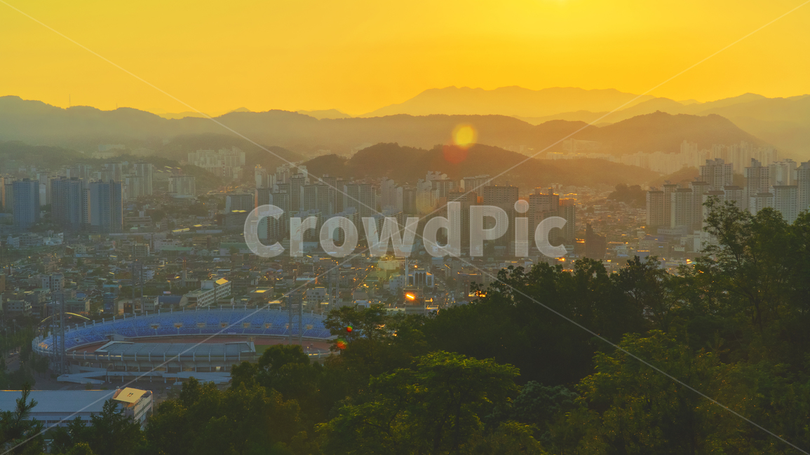 한밭운동장,보문산,도심,도시,정상,대전,아침,일출,나무,몽환적,도시,풍경,city,landscape,한국도시풍경,한국도시경관,korea cityscape,nature,자연,outdoors,옥외,경치,scenery,aerial view,조감도