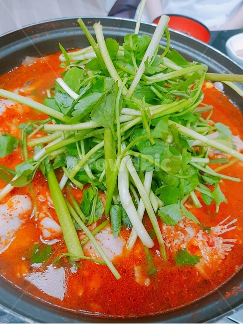 매운탕,미나리,동태탕,생선탕,회,탕,국,한국요리,한국음식