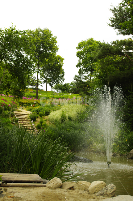 꽃,식물,flower,color,nature,자연,길,분수,산책,힐링,자연,풍경,nature,landscape,grass,잔디,plant,water,물,outdoors,옥외