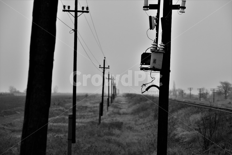 전선,배경,들,절길,안개,흑백,모노톤,monochrome,black and white