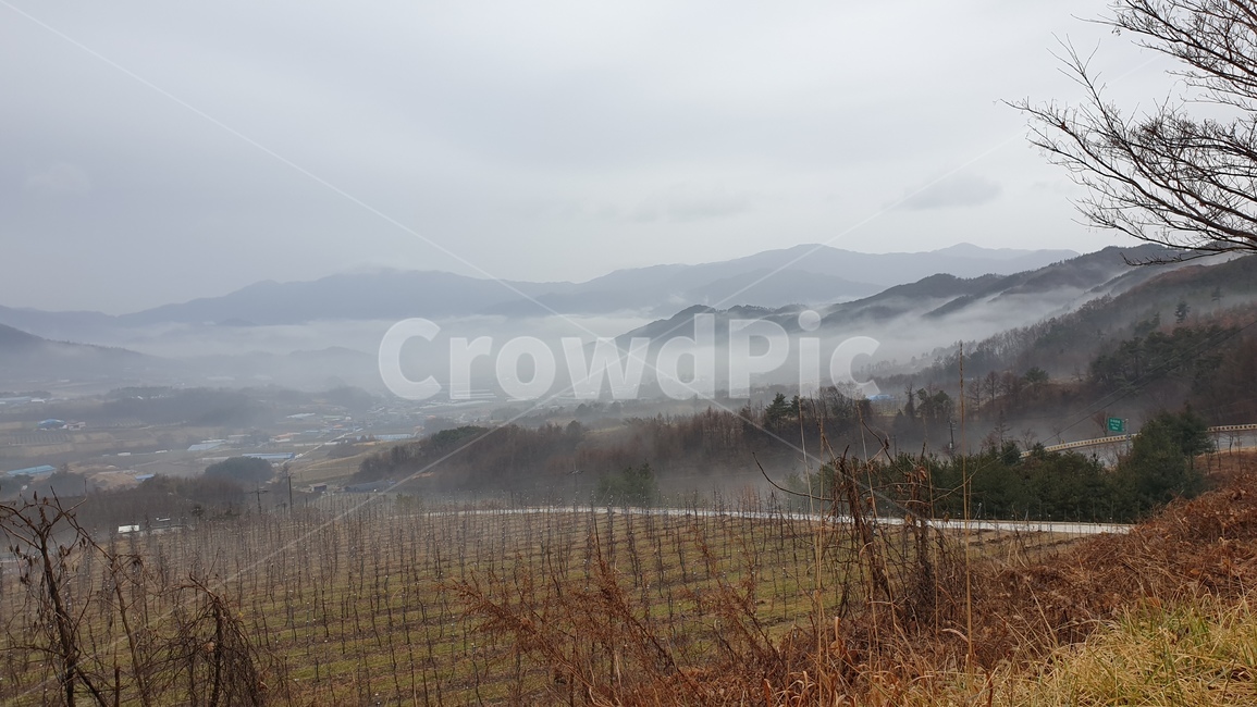 nature,자연,옥외,연무,풍경,자연,풍경,nature,landscape
