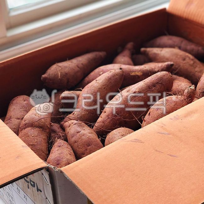 고구마,고구마박스,sweetpotato,생고구마,햇고구마