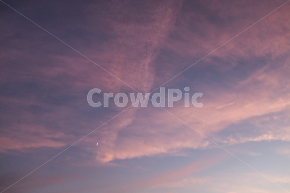 자연,outdoors,하늘,일몰,핑크,sunset,pink,blue,달,moon,skyscape,sky,nature