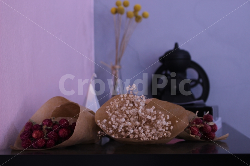 커피,카페,인테리어,맛집,coffee,cafe,소품,꽃,flower,드라이플라워,프리저브드,안개꽃,식물,자연,plants,nature,꽃,flower