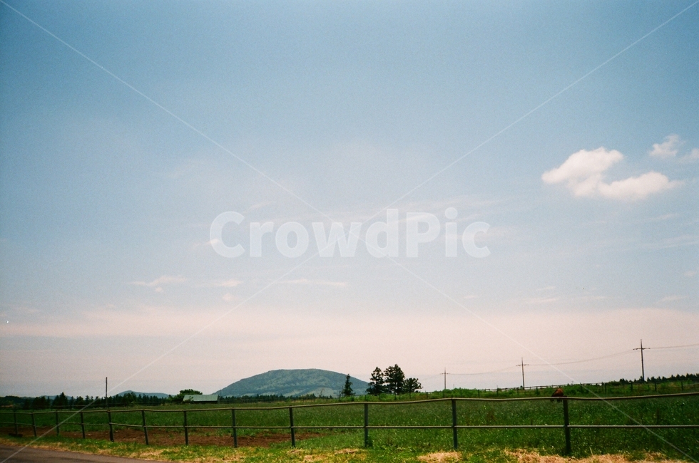 제주도,여름,제주여름,풍경,자연,필름,감성,city,landscape,feeling,Film,beautiful,photography,Korea,Jeju,mood