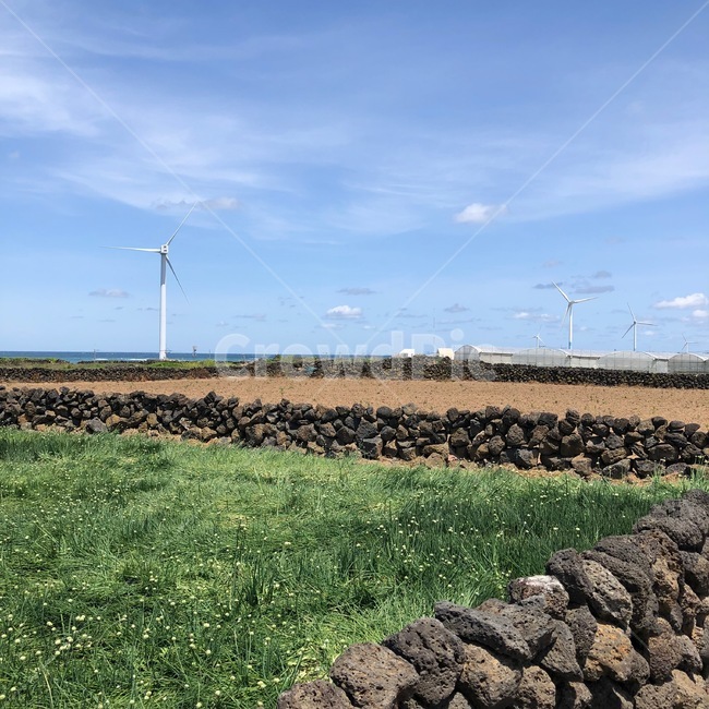 제주도,jeju,밭,시골,풍경