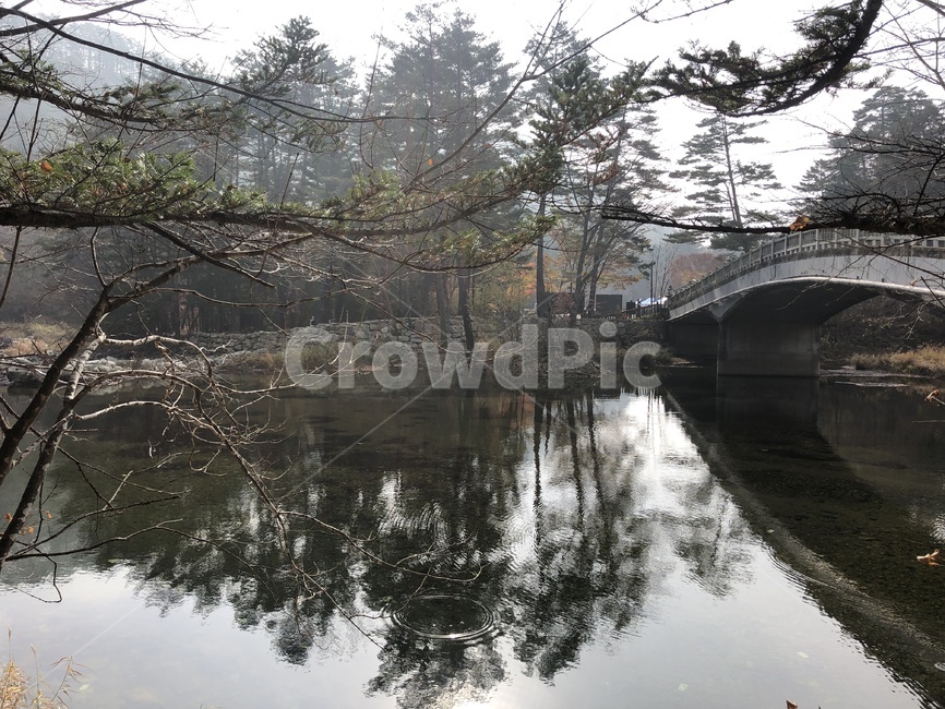 bridge,다리,building,건물,강,미러