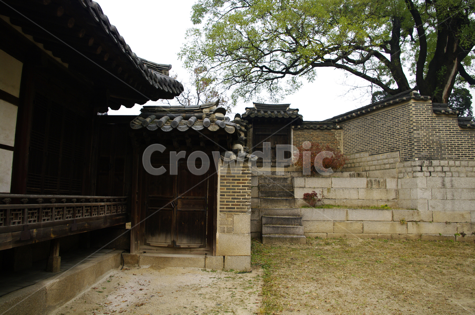 창덕궁,고궁,낙선재,건축,전통건축,traditional,전통,기와지붕,담장,문,창,한국전통,한국문화,korean traditional,korean culture,건축물,건물외관,exterior,building,structure,architecture,construction