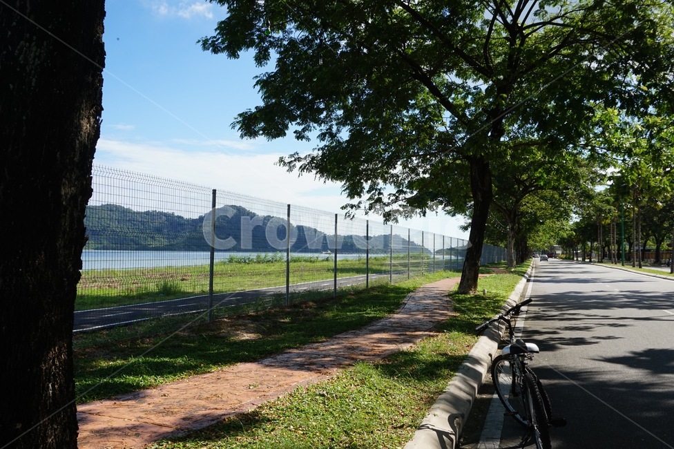 자전거,산책,운동,나무,산,산책길,바다,도로,말레이시아,페낭,자연,풍경,nature,landscape