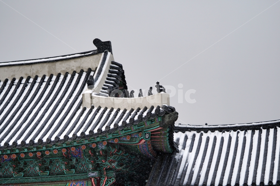 한국,한국전통,한국문화,전통,문화,문화재,유적지,한옥,한국적인,조선시대,조선왕조,궁궐,궁전,가옥,전통가옥,건축,목조,겨울,계절,season,winter,sonw,korea,culture,역사,history,감성,감성사진,스냅,스냅사진,snap,snapshot,마당,정원,서울,seoul,경복궁,히스토리,왕궁,느낌,feel,분위기,컨셉,콘셉,concept,겨울눈,눈이내리는,눈내리는,눈오는,눈내린,풍경,landscape,흰눈,추위,춥다,추운,용마루,추녀마루,내림마루,잡상,와제,10신상,지붕,처마,겨울,계절,winter,season,한국전통,한국문화,korean traditional,korean culture,랜드마크,landmark,tourist attraction,한국랜드마크,한국관광지,한국명소,korea landmark,korea tourist attraction,건축물,건물외관,exterior,building,structure,architecture,construction