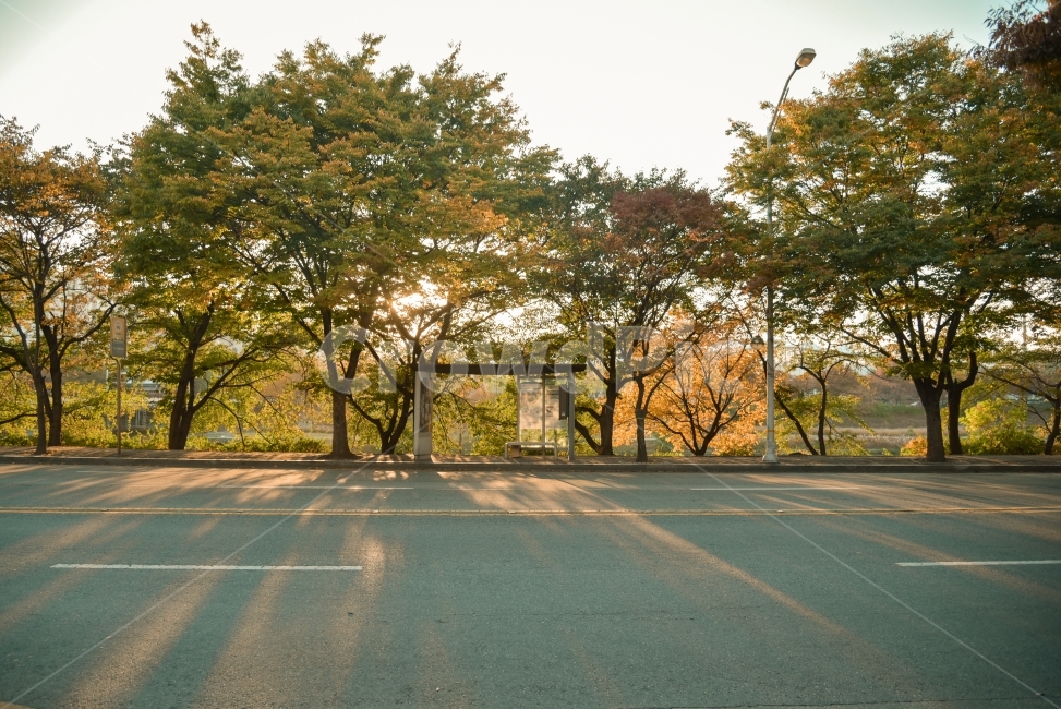 가을,늦은오후,일몰,그림자,버스,버스역,빛,가을,계절,fall,autumn,season,교통,교통수단,traffic,transportation,asphalt,아스팔트,road,도로