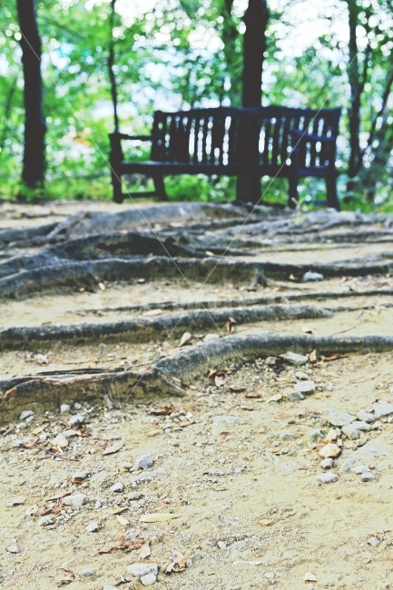 벤치,숲속,풍경,감성,감성사진,풍경사진,아웃포커싱,초록색,휴식,힐링,rest,relaxation,healing