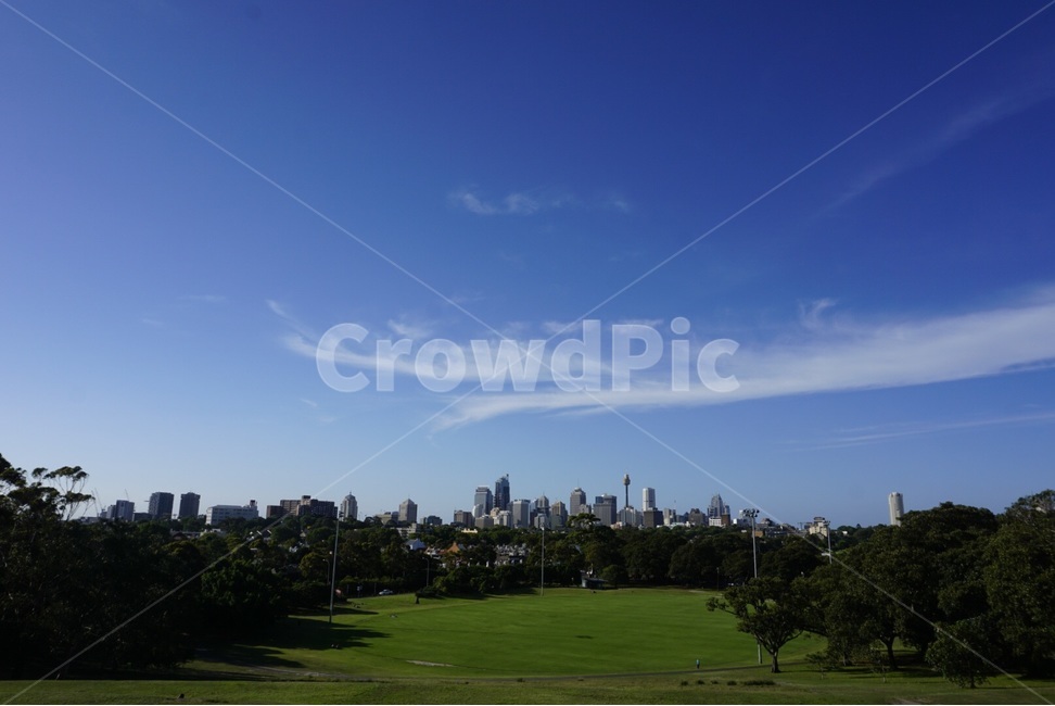 원본,자연,나무,들판,구름,original,nature,tree,field,cloud,도시,풍경,city,landscape,해외,외국,세계,foreign,oversea,world,세계도시풍경,해외도시풍경,외국도시풍경,world cityscape,들,outdoors,옥외,grass,잔디,plant,식물