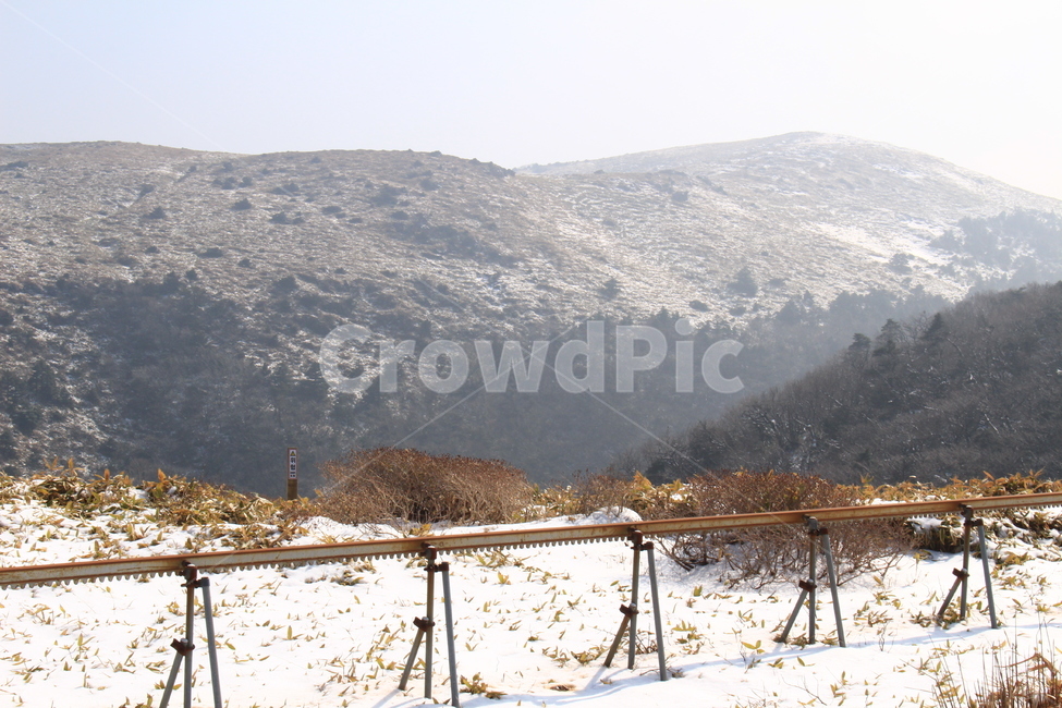 눈,산,나무,겨울,풀,겨울,계절,winter,season,자연,풍경,nature,landscape