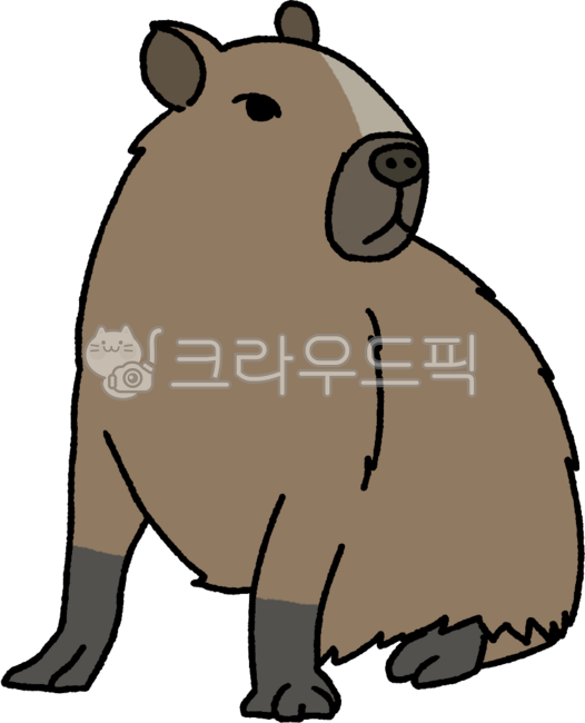 카피바라,온순한,capybara,설치류,동물