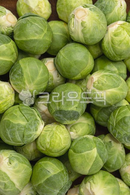 mini cabbage,cabbage,vegetable,Brussels Sprouts,food,Food Ingredients,ingredients,fresh food,fresh,organic