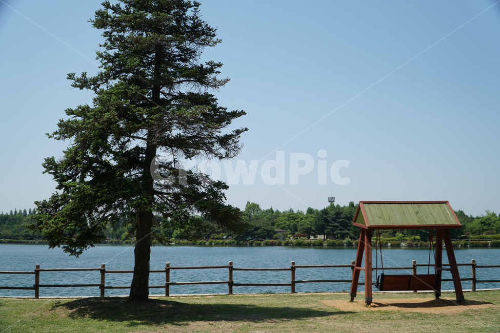 공원,호수,나무,tree,park,휴식,의자,lake,그네,그네의자,nature,자연,풍경,nature,landscape