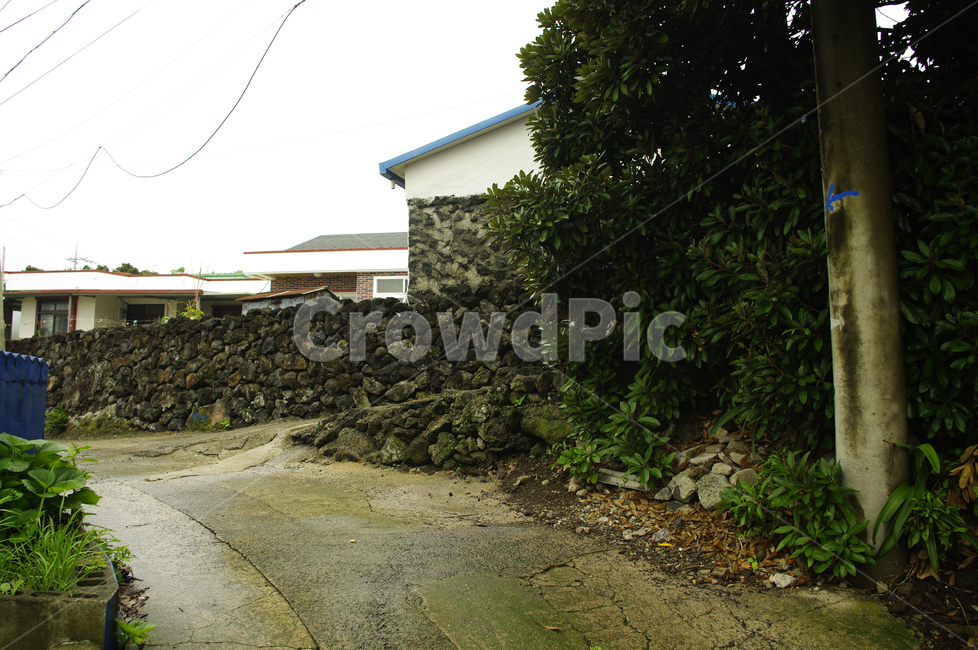 제주,집,돌담,현무암,길,제주도,jeju,jeju island,시골,마을,풍경,landscape,country,rural,town,asphalt,아스팔트,tarmac,타맥