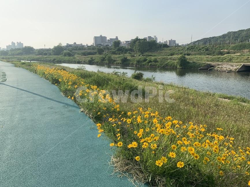 봄,자연,꽃,햇빛,평화
