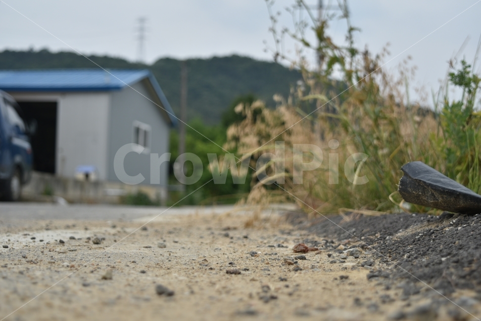 시골,농촌,고향,향수,길,땅,풀,시골,마을,풍경,landscape,country,rural,town