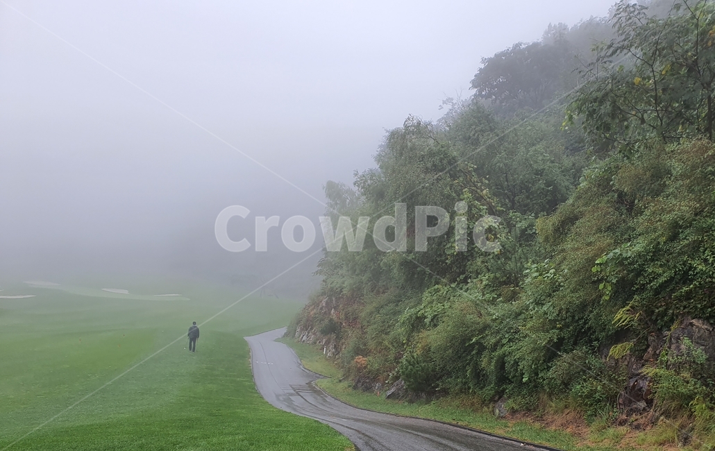 nature,자연,weather,날씨,안개,fog,뒷모습,산,도로,필드,자연,풍경,nature,landscape,outdoors,옥외