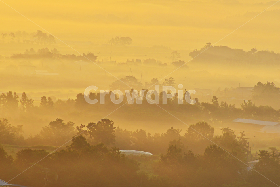 outdoors,옥외,landscape,nature,자연,scenery,sky,하늘,dawn,새벽,redsky,붉은하늘,weather,날씨,함평,밀재,밀재일출,아침,운해,여명,해돋이,경치,경관,풍경,농촌,농업,농경,농사,경작,자연,풍경,nature,landscape,한국자연풍경,한국자연경관,korea nature landscape