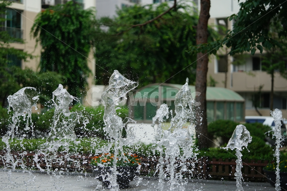 분수,물,물줄기,여름,계절,water,순간,순간포착,더위,summer,여름,계절,summer,season,fountain