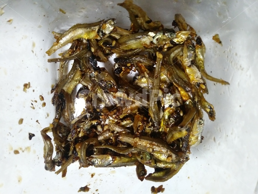 멸치,반찬,음식,식재료,식사,칼슘,영양,건강,도시락