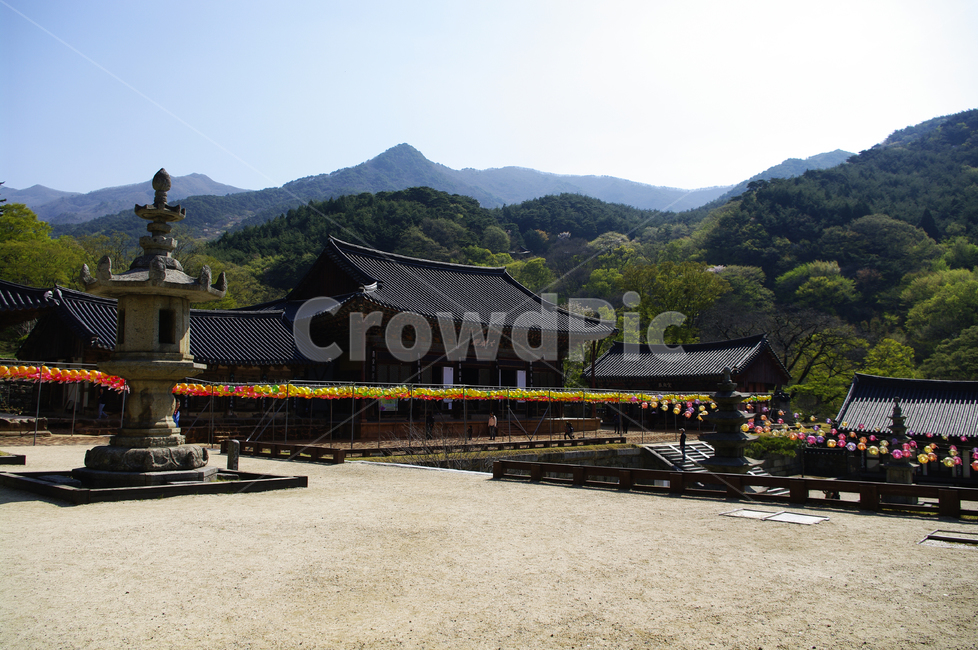 건축,화엄사,사찰,절,지붕,traditional,전통,기와지붕,석탑,한국전통,한국문화,korean traditional,korean culture,종교,신앙,religion,belief,faith,건축물,건물외관,exterior,building,structure,architecture,construction