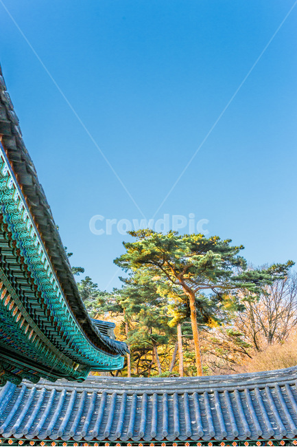 기와,선,용주사,사찰,문양,무늬,고찰,한국전통,한국문화,korean traditional,korean culture,건축물,건물외관,exterior,building,structure,architecture,construction