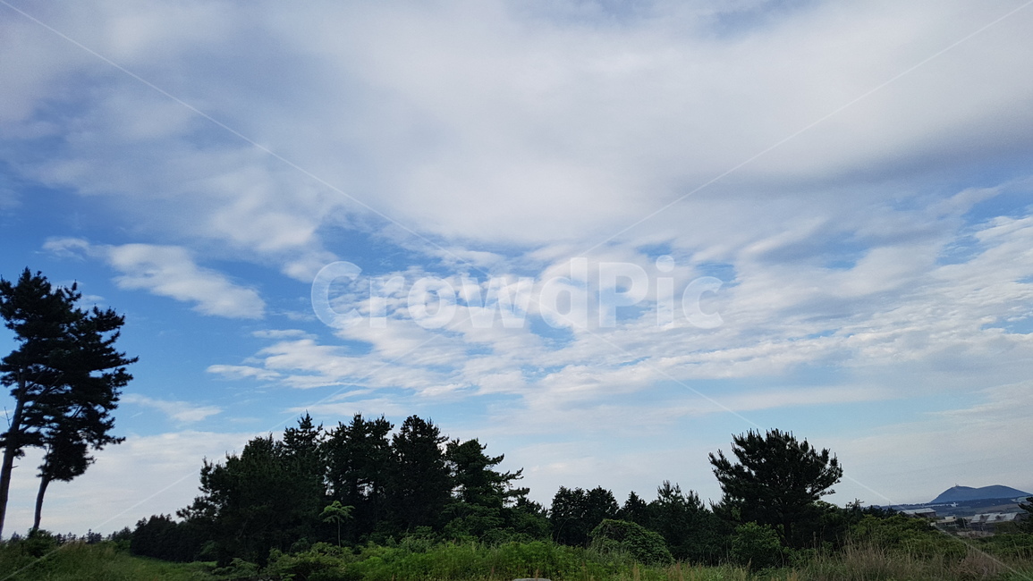 자연풍경,구름,풍경,하늘,비