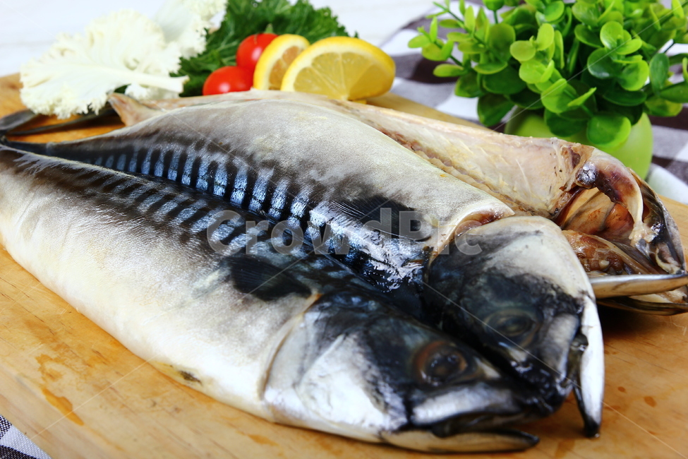 고등어,생선,등푸른생선,구이,생선구이,해산물,음식,식품,신선,싱싱,mackerel,fish,grill,seafood,food,fresh,crispy,음식,식재료,요리,food,cook,meal,dishes,food reserves,수산물,해산물,fishery products,seafood